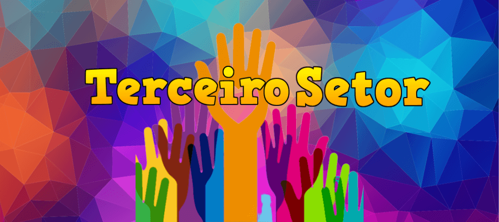 terceiro setor